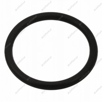 Уплотнительное кольцо BILSTEIN FEBI 100998 (фото 1)