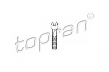Болт, корпус скобы тормоза TOPRAN 110 708