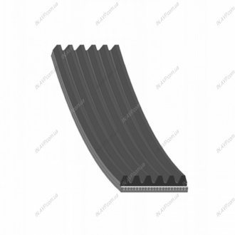 Поликлиновой ремень Blue Print AD06R1336