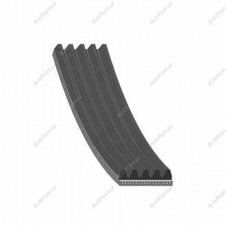 Поликлиновой ремень Blue Print AD05R1200