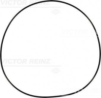 Уплотнительное кільце VICTOR REINZ 40-76915-00 (фото 1)