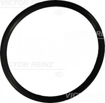 Уплотнительное кольцо VICTOR REINZ 40-76022-10 (фото 1)