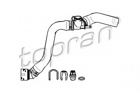 Шланг радиатора TOPRAN 113 231