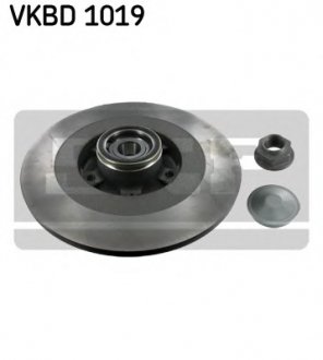 Тормозной диск SKF VKBD 1019 (фото 1)