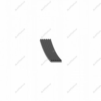 Поликлиновой ремень 6PK1555 FEBI 28952
