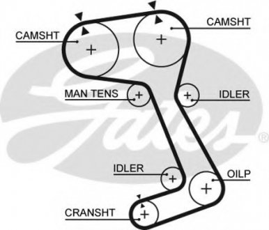 РЕМІНЬ ГРМ GATES Gates Corporation 5242XS