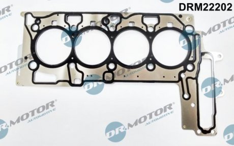Прокладка пiд головку Dr. Motor Automotive DRM22202 (фото 1)