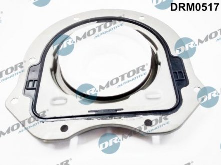 Сальники валу Dr. Motor Automotive DRM0517 (фото 1)