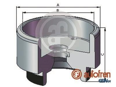 T│oczek. Seinsa Autofren D025721 (фото 1)