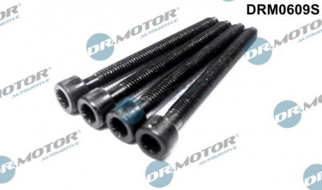 Болт з фігурною головкою DRMOTOR Dr. Motor Automotive DRM0609S