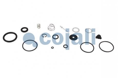 Ремкомплект сепаратора рідини MERCEDES LK/LN2, MK, NG, O 405, O 407, SK 08.73- COJALI 6012229