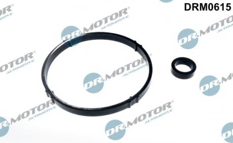 ZESTAW USZCZELEK OBUDOWY FILTRA OLEJU CITROEN C2 1,1 DR.MOTOR Dr. Motor Automotive DRM0615