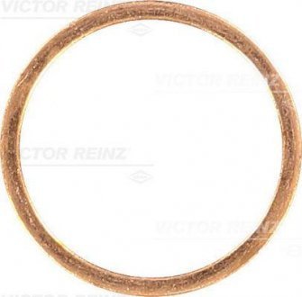 Уплотнительное кольцо REINZ VICTOR REINZ 407025200