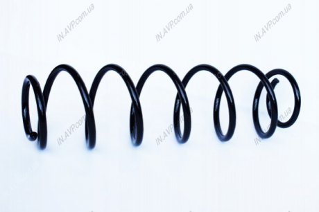 Пружина задняя Laguna II 01- ASAM 73750