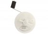 Modu│ pompy paliwa C-MAX, FOCUS, FOCUS C-MAX /MEGANE Delphi FG214012B1 (фото 2)