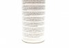 PAG 100YF 250ML NRF 38841 (фото 2)