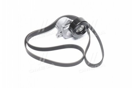 Комлект ременя генератора 2TR Renault 117208464R