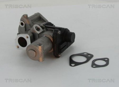 Клапан EGR Audi A4/A5/A7/Q7/VW Touareg 2.0-3.7TDI TRISCAN 881329312