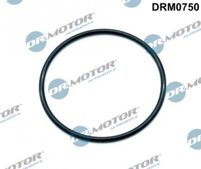 Прокладка колектора Dr. Motor Automotive DRM0750 (фото 1)