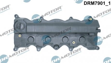 Кришка головки цилiндра Dr. Motor Automotive DRM7901 (фото 1)