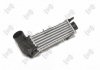 INTERCOOLER, CHARGER DEPO 046-018-0003 (фото 2)