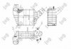 INTERCOOLER, CHARGER DEPO 053-018-0012 (фото 1)