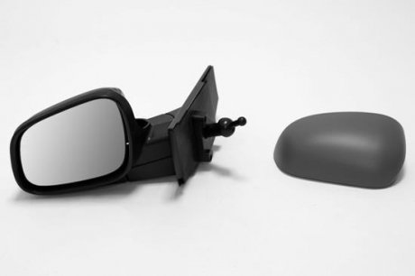 OUTSIDE MIRROR LORO DEPO 0610M03