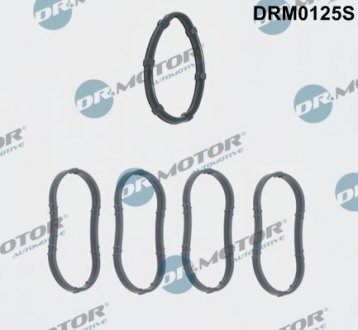 Комплект прокладок гумових Dr. Motor Automotive DRM0125S (фото 1)
