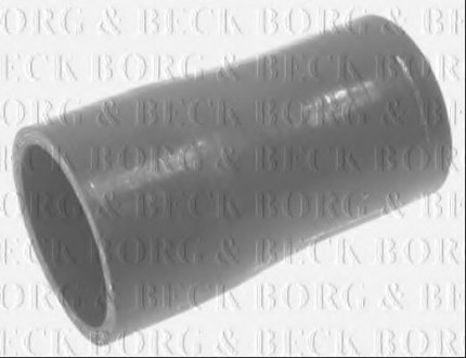 Трубка нагнетаемого воздуха Borg & Beck BTH1287 (фото 1)