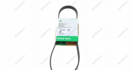 Ремень генератора INA FB 5PK955