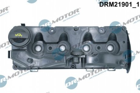 Кришка головки блоку циліндрів ДВЗ DR MOTOR Dr. Motor Automotive DRM21901