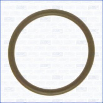 Уплотнительное кільце, резьбовая пр AJUSA 16065900 (фото 1)
