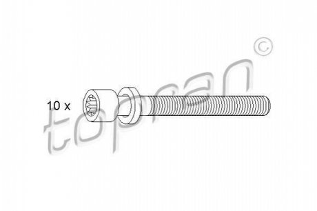 Комплект болтов головки цилидра TOPRAN 109 546