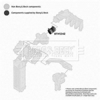 Трубка нагнетаемого воздуха Borg & Beck BTH1242 (фото 1)
