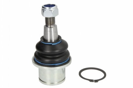 REINHOCH RH035009