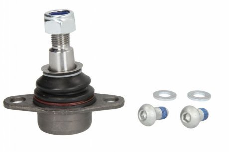 REINHOCH RH033019