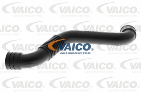 VAICO V106494