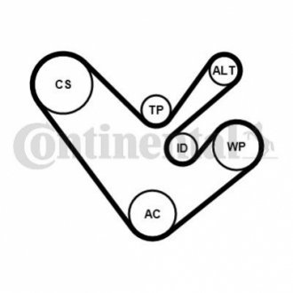 PASEK WIELOROWK. ContiTech 6PK1555K4 (фото 1)