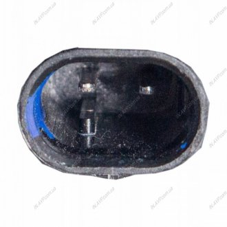 TERMOSTAT BMW BILSTEIN FEBI 175091